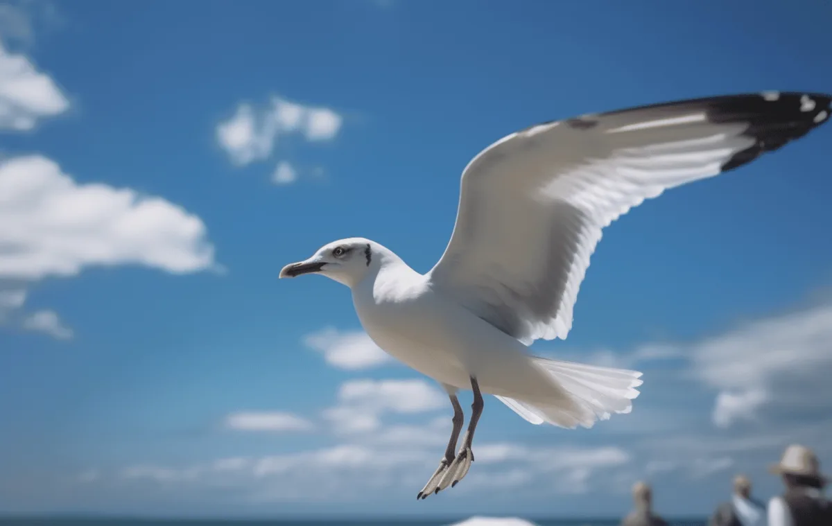 Bird and bat surveys — STRIX service