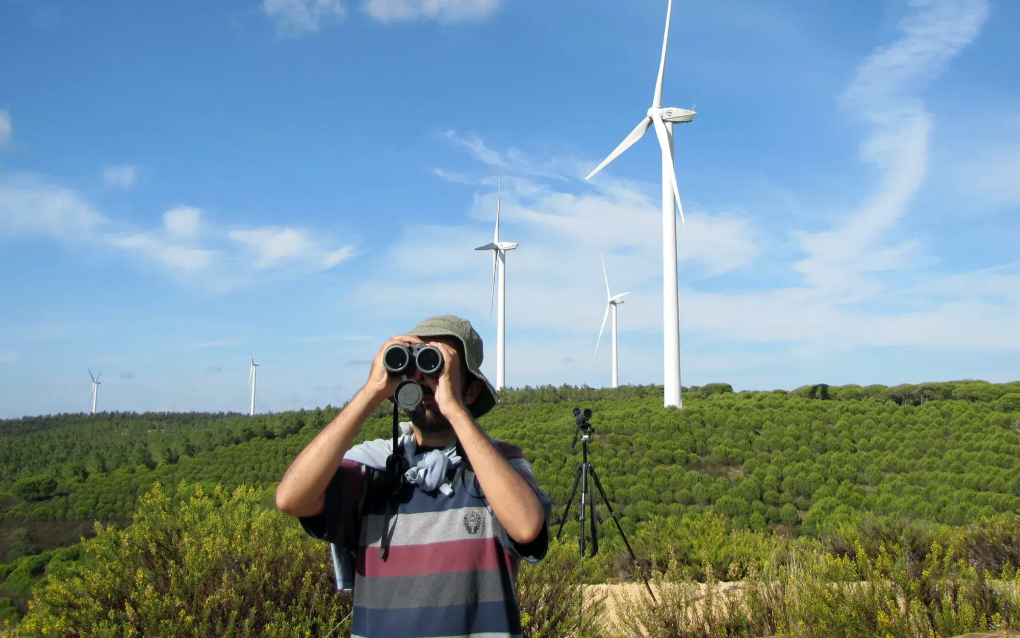 Join the STRIX team — careers at STRIX International